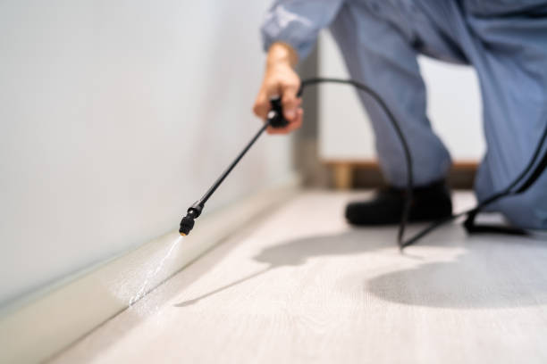 Licensed Pest Control service in Lakeside, OR - Show Me Pest Control